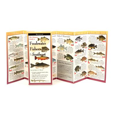 Cover Image for Freshwater Fishes of the Southeast -- Robert G. Werner, Other