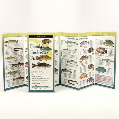 Cover Image for Florida Freshwater Fishes -- Robert G. Werner, Other