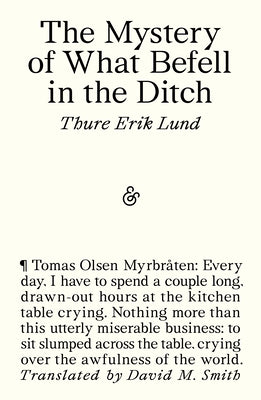 Cover Image for The Mystery of What Befell in the Ditch -- Thure Erik Lund, Paperback