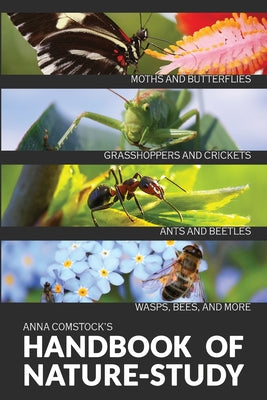 Cover Image for The Handbook Of Nature Study in Color - Insects -- Anna B. Comstock, Paperback