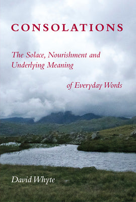 Cover Image for Consolations: The Solace, Nourishment and Underlying Meaning of Everyday Words -- David Whyte, Paperback