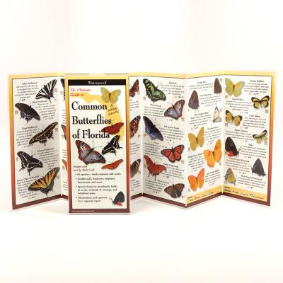 Cover Image for Common Butterflies of Florida -- Rick Cech, Other