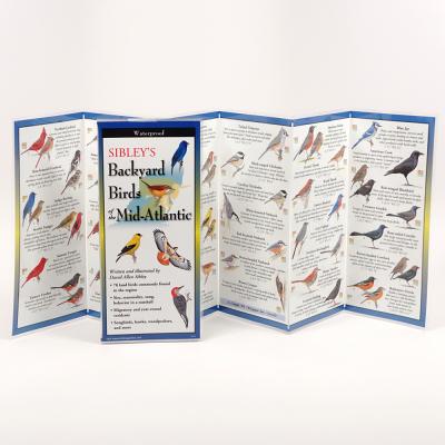 Cover Image for Sibley's Back. Birds of Mid-Atlantic -- David Sibley, Other