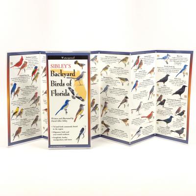 Cover Image for Sibley's Back. Birds of Florida -- David Sibley, Other