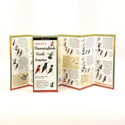Cover Image for Sibley's Hummingbirds of North America -- David Sibley, Other