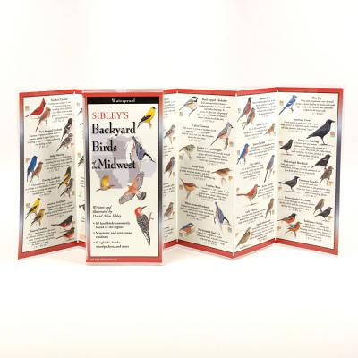 Cover Image for Sibley's Back. Birds of the Midwest -- David Allen Sibley, Other