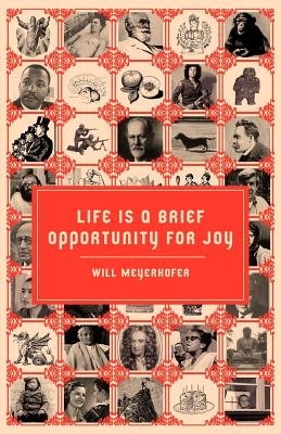 Cover Image for Life is a Brief Opportunity for Joy -- Will Meyerhofer, Paperback