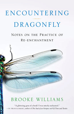 Cover Image for Encountering Dragonfly: Notes on the Practice of Re-Enchantment -- Brooke Williams, Paperback