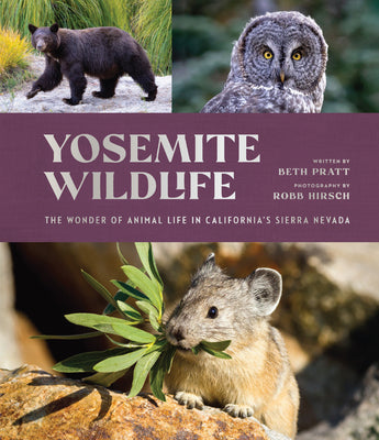 Cover Image for Yosemite Wildlife: The Wonder of Animal Life in California's Sierra Nevada -- Beth Pratt, Hardcover