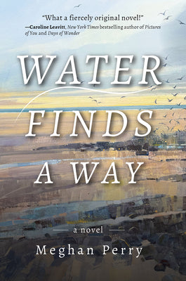 Cover Image for Water Finds a Way a Novel -- Meghan Perry, Hardcover