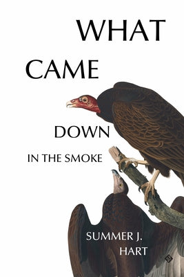 Cover Image for What Came Down in the Smoke -- Summer J. Hart, Paperback