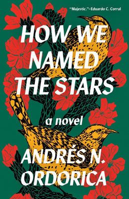 Cover Image for How We Named the Stars -- Andrés N. Ordorica, Paperback