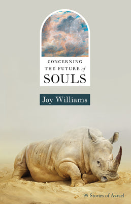 Cover Image for Concerning the Future of Souls -- Joy Williams, Hardcover