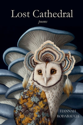 Cover Image for Lost Cathedral -- Hannah Rodabaugh, Paperback