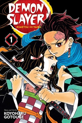 Cover Image for Demon Slayer: Kimetsu No Yaiba, Vol. 1 -- Koyoharu Gotouge, Paperback