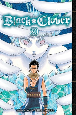 Cover Image for Black Clover, Vol. 30 -- Yuki Tabata, Paperback