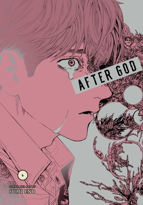 Cover Image for After God, Vol. 6 -- Sumi Eno, Paperback