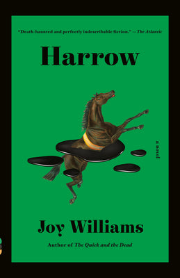 Cover Image for Harrow: A Novel (Kirkus Prize) -- Joy Williams, Paperback