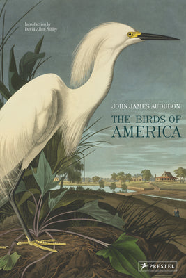 Cover Image for The Birds of America -- John James Audubon, Hardcover