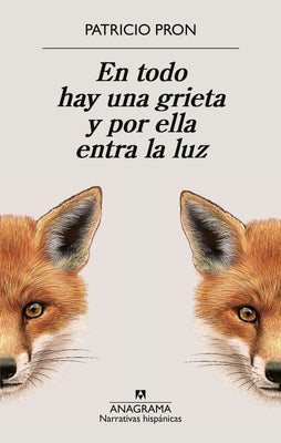 Cover Image for En Todo Hay Una Grieta Y Por Ella Entra La Luz -- Patricio Pron, Paperback