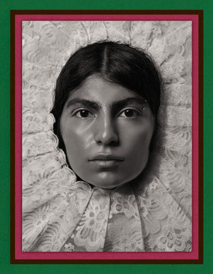 Cover Image for Pieter Henket: Birds of Mexico City -- Pieter Henket, Hardcover