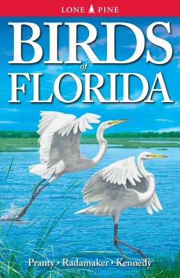 Cover Image for Birds of Florida -- Bill Pranty, Paperback