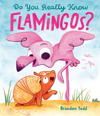 Cover Image for Do You Really Know Flamingos? -- Brandon Todd, Hardcover