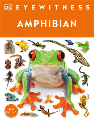 Cover Image for Eyewitness Amphibian -- DK, Paperback