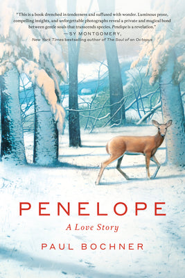 Cover Image for Penelope: A Love Story -- Paul Bochner, Hardcover