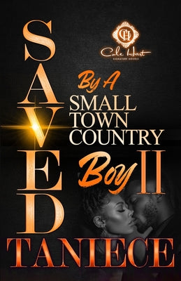Cover Image for Saved By A Small Town Country Boy 2: The Finale -- Taniece, Paperback