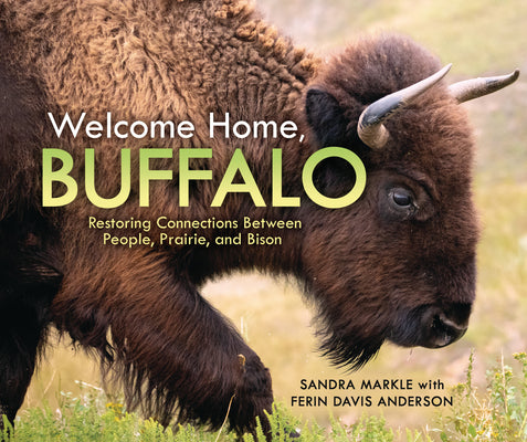 Cover Image for Welcome Home, Buffalo: Restoring Connections Between People, Prairie, and Bison -- Sandra Markle, Library Binding