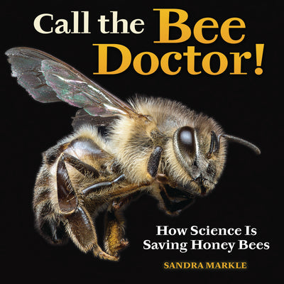 Cover Image for Call the Bee Doctor!: How Science Is Saving Honey Bees -- Sandra Markle, Hardcover
