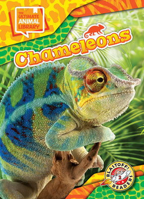 Cover Image for Chameleons -- Janie Scheffer, Hardcover