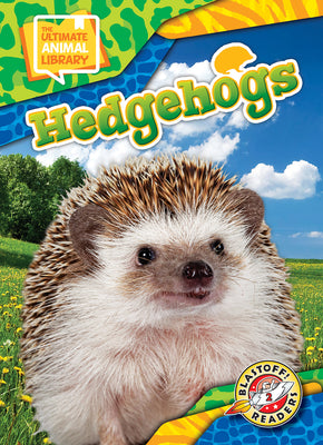 Cover Image for Hedgehogs -- Chris Bowman, Hardcover