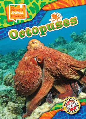 Cover Image for Octopuses -- Chris Bowman, Hardcover