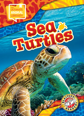 Cover Image for Sea Turtles -- Chris Bowman, Hardcover