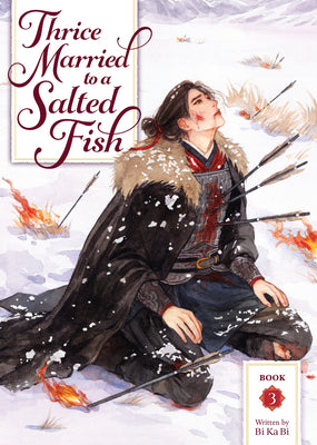 Cover Image for Thrice Married to a Salted Fish (Novel) Vol. 3 -- Bi Ka Bi, Paperback