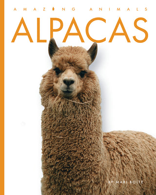 Cover Image for Alpacas -- Mari Bolte, Library Binding