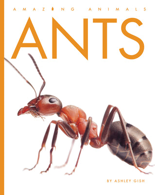 Cover Image for Ants -- Ashley Gish, Library Binding