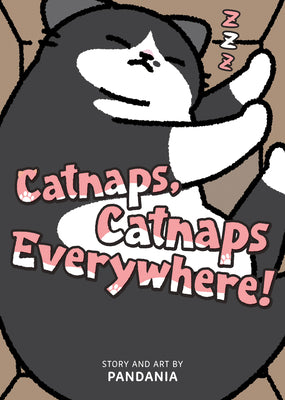 Cover Image for Catnaps, Catnaps Everywhere! -- Pandania, Paperback
