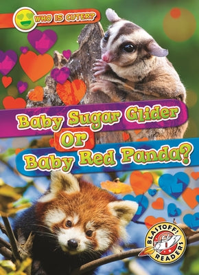 Cover Image for Baby Sugar Glider or Baby Red Panda? -- Mari C. Schuh, Hardcover