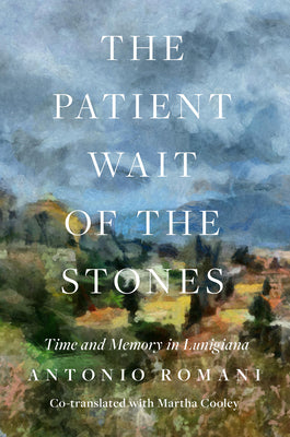 Cover Image for The Patient Wait of the Stones: Time and Memory in Lunigiana -- Antonio Romani, Paperback